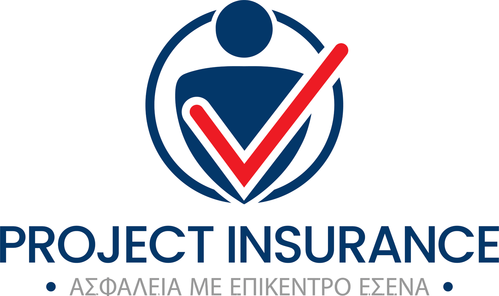 Project Insurance